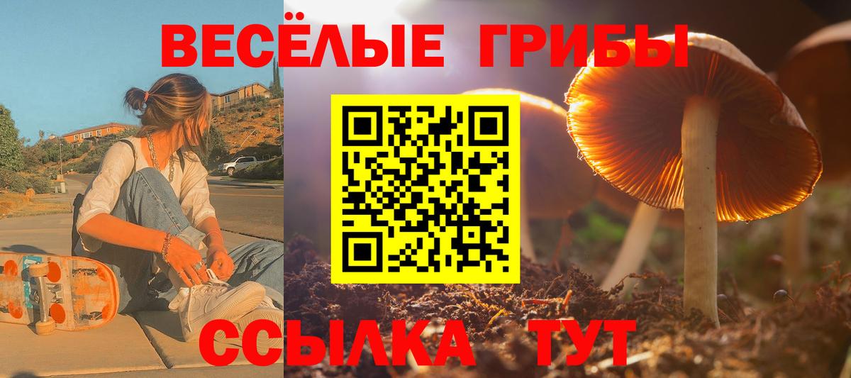 Псилоцибиновые грибы Cubensis  Вход с VPN  Краснокаменск 